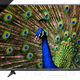 Image for article titled Saturday's Best Deals: 4K TVs, Halloween Costumes, a Closer Shave, and More